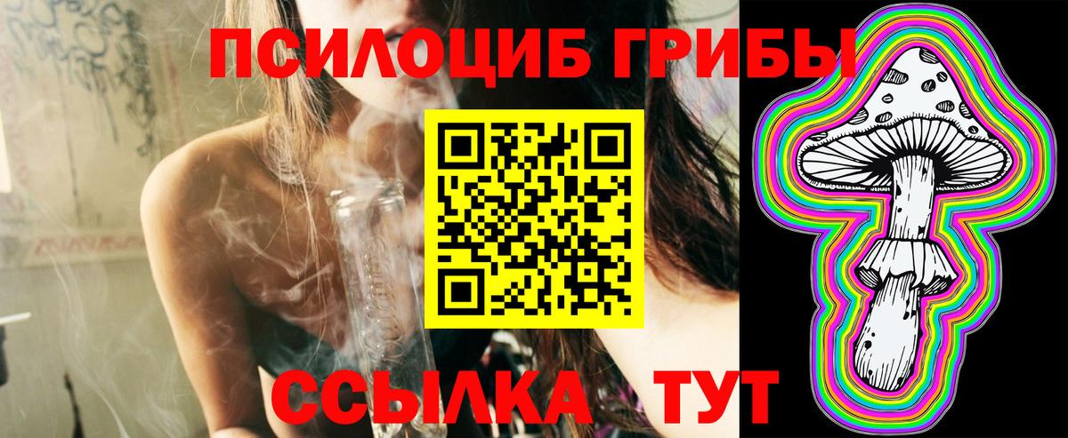Псилоцибиновые грибы GOLDEN TEACHER  Галлюциногенные грибы Cubensis  Вход с VPN  купить  цена  Шебекино 