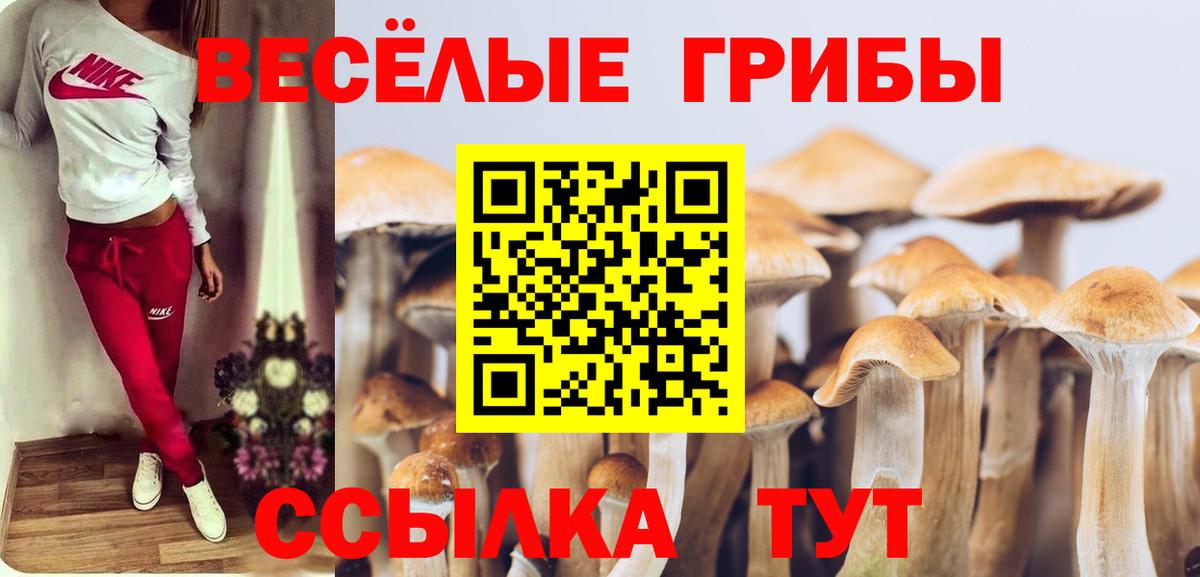 Псилоцибиновые грибы мухоморы Шебекино